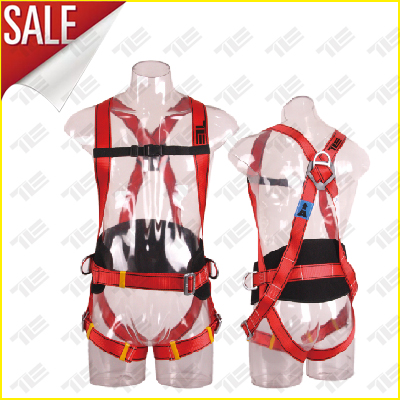 TE5108 FULL BODY SAFETY HARNESS