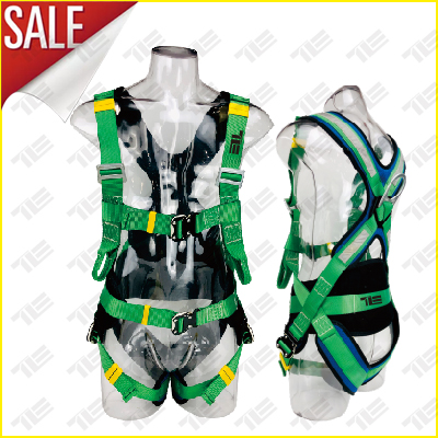 TE5179-2 FULL BODY SAFETY HARNESS